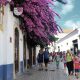 Silver Coast Travelling, Rua de Obidos, Óbidos Medieval Tour